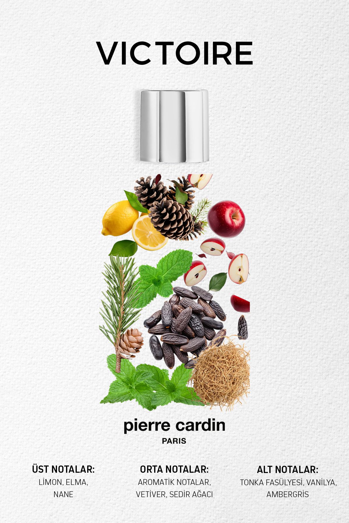 عطر مردانه Pierre Cardin Victoire Edp 50 ml