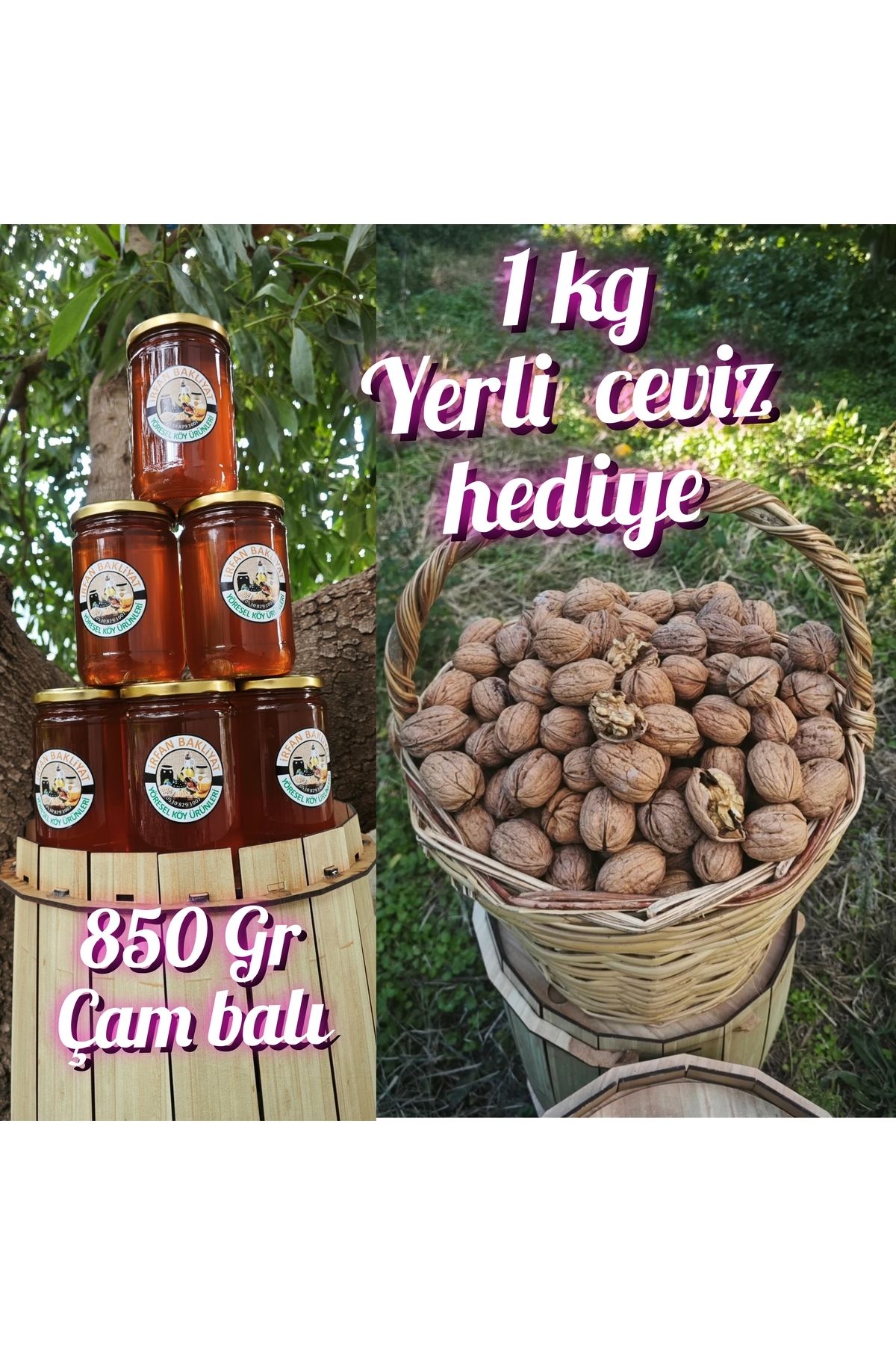 irfan bakliyat Çam Balı 850 gr (yerli Yağlı Ceviz 1 Kg Hediye )