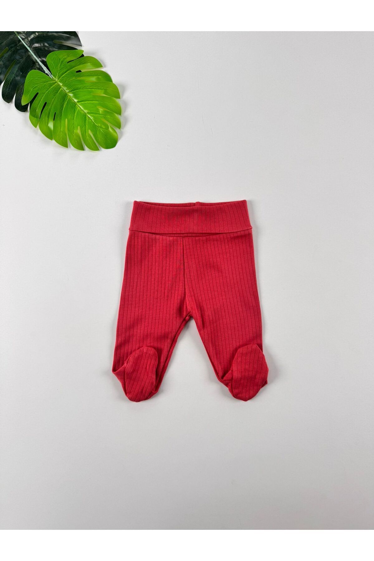 EFU BABY 4'lü %100 Pamuklu Raporlu  Basic Patikli Kız Bebek Pantolon fotoğrafı 5 (önizleme)