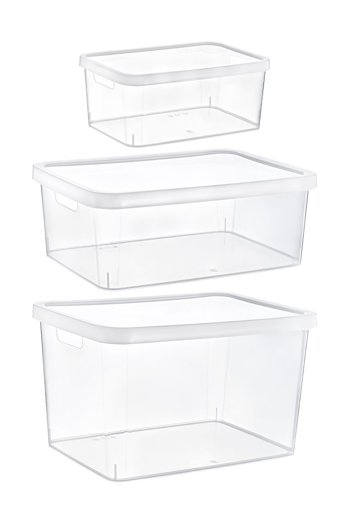 Smartware-Transparent Stafi Box with Lid Set of 3 - 4,5-12-18 Lt 2
