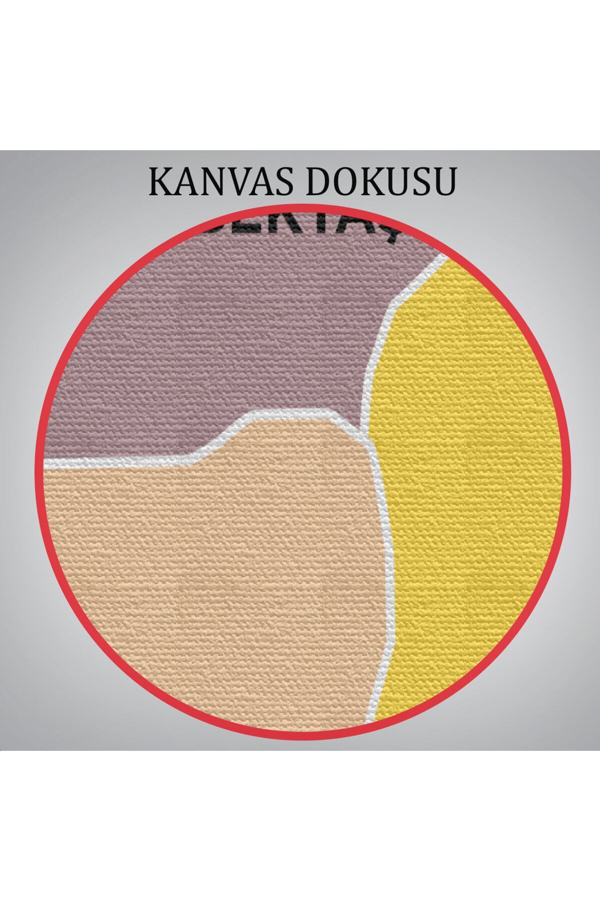 Nevşehir Ili Ve Ilçeler Haritası Dekoratif Kanvas Tablo görsel 6