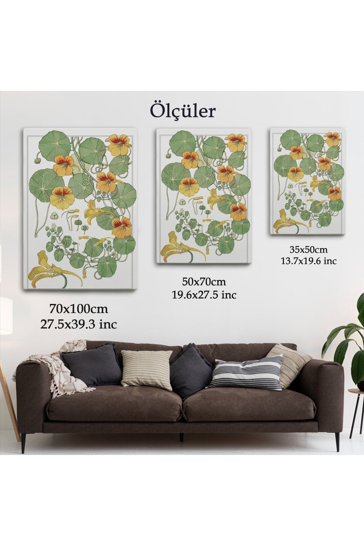 Nasturtium Çiçeği Kanvas Tablo görsel 6