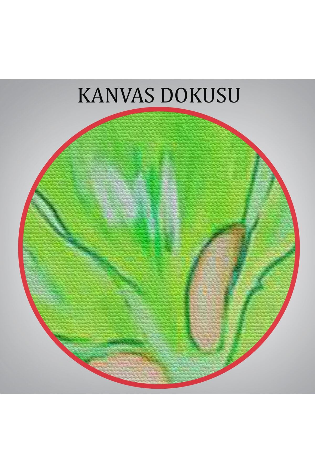 Pop Art, Sokak Sanatı Renkli Dekoratif Duvar Tablosu görsel 6