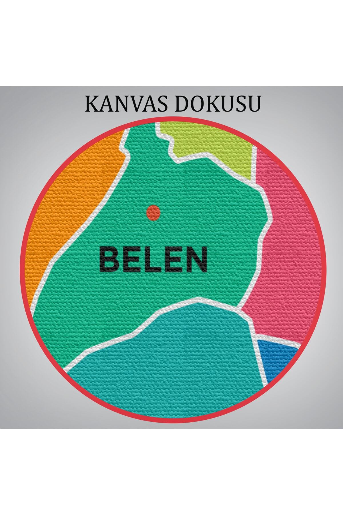 Hatay Ili Ve Ilçeler Haritası Dekoratif Kanvas Tablo görsel 6