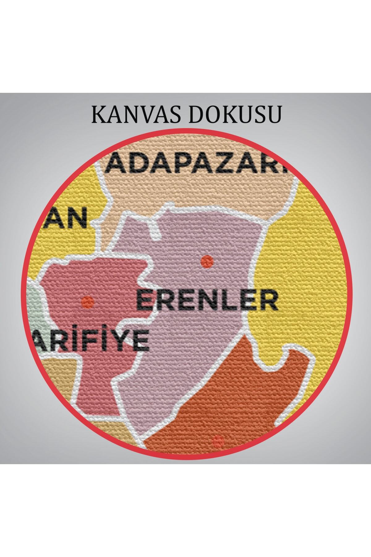 Sakarya Ili Ve Ilçeler Haritası Dekoratif Kanvas Tablo-1 görsel 6