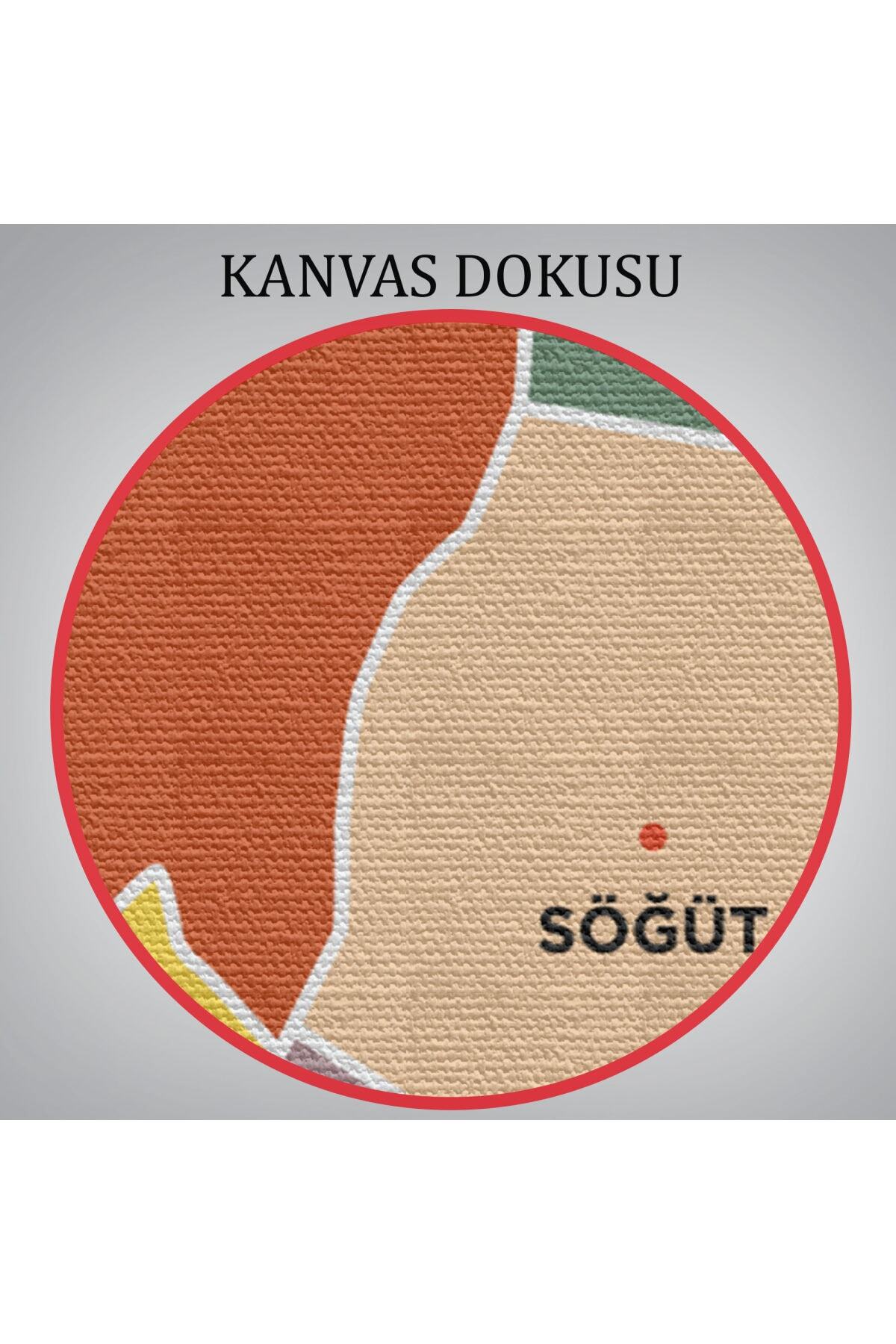 Bilecik Ili Ve Ilçeler Haritası Dekoratif Kanvas Tablo görsel 6