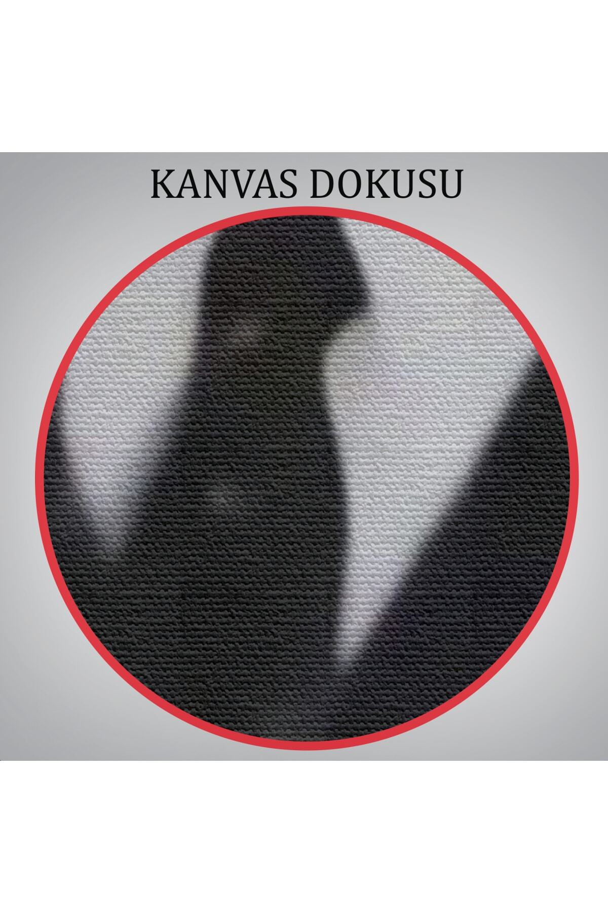 Atatürk Portre Tablosu Mustafa Kemal Atatürk Dikdörtgen Dekoratif Kanvas Tablo-4 görsel 5