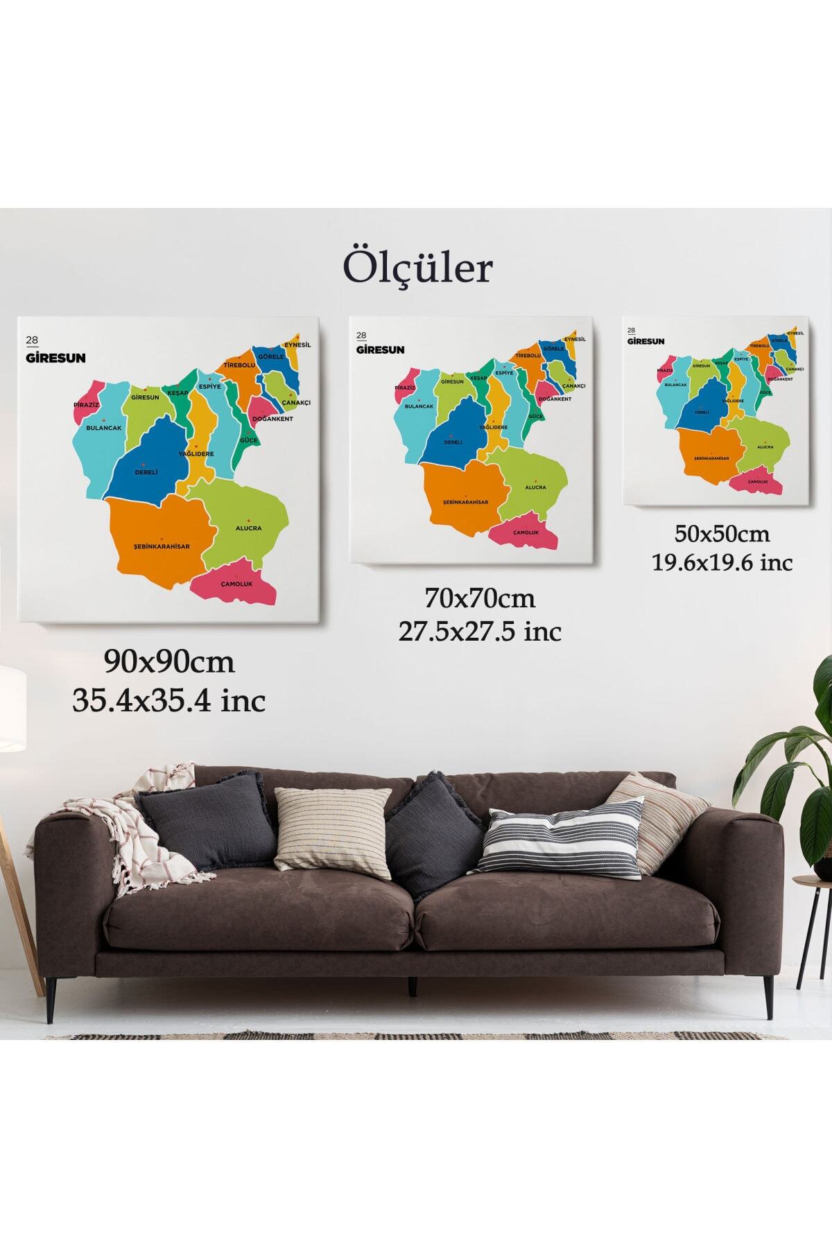 Giresun Ili Ve Ilçeler Haritası Dekoratif Kanvas Tablo görsel 5
