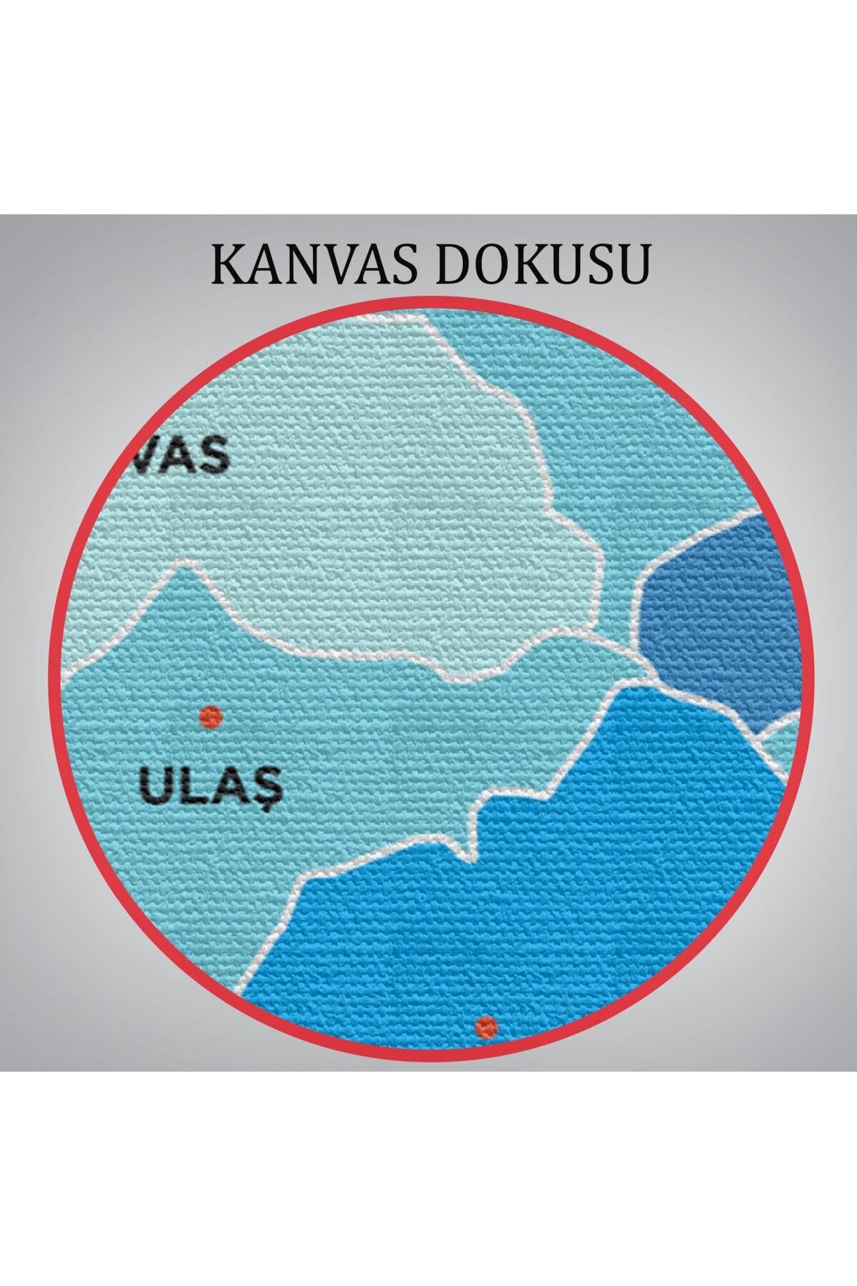 Sivas Ili Ve Ilçeler Haritası Dekoratif Kanvas Tablo-1 görsel 6
