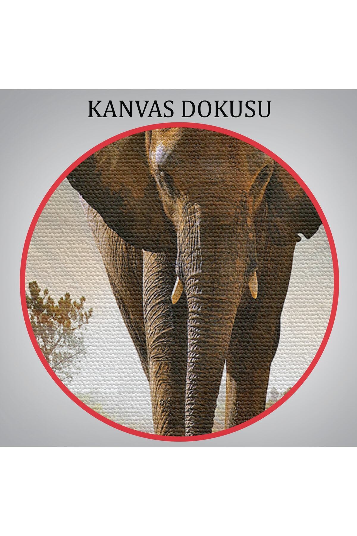 Fil Dekoratif Kanvas Tablo görsel 7