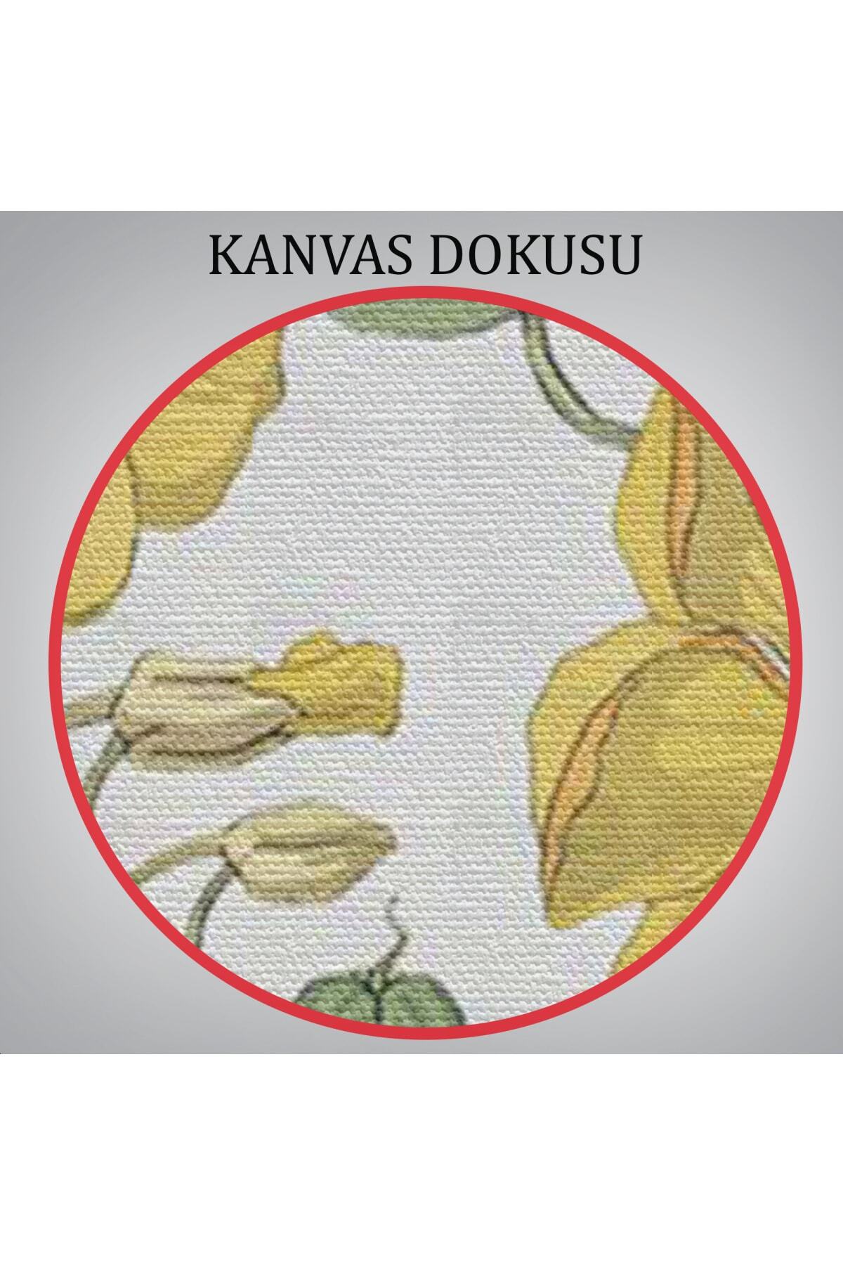 Nasturtium Çiçeği Kanvas Tablo görsel 5