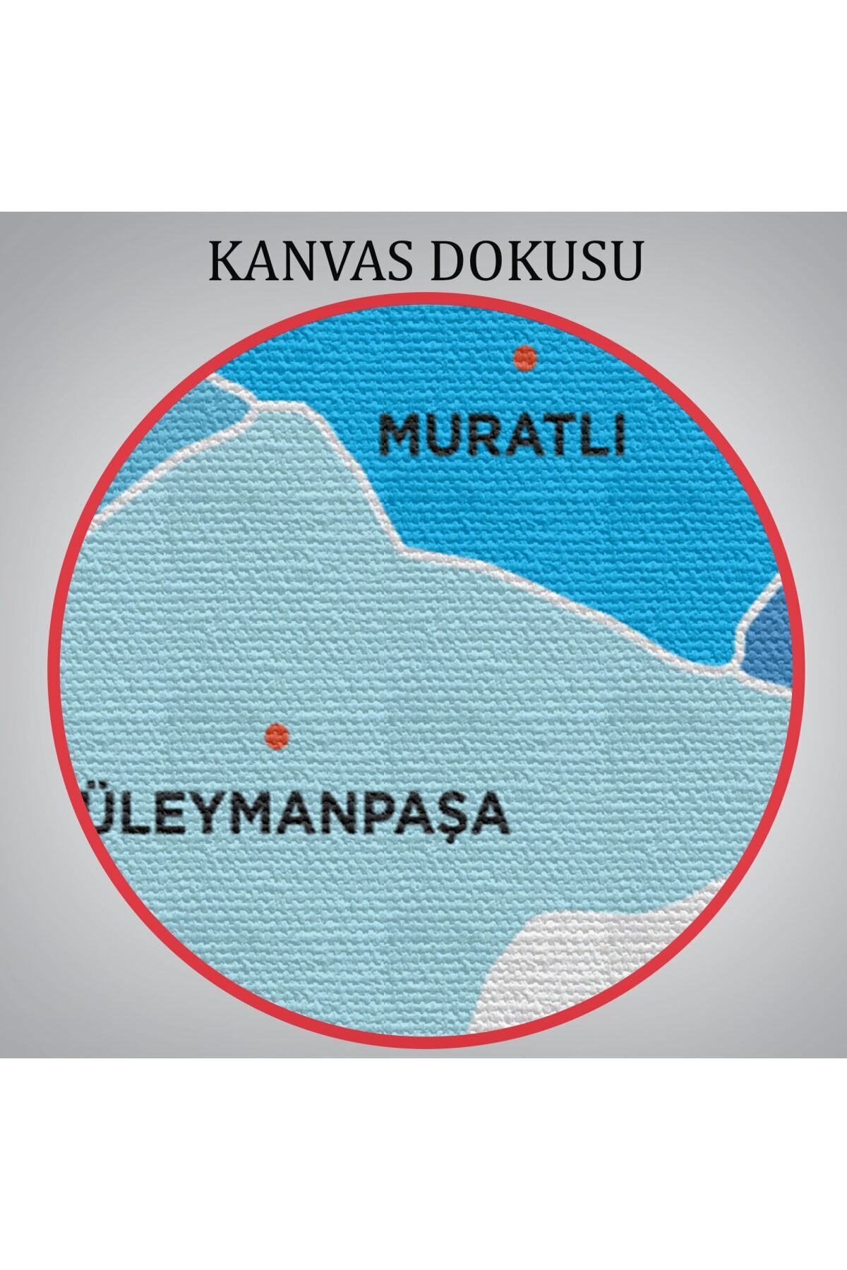 Tekirdağ Ili Ve Ilçeler Haritası Dekoratif Kanvas Tablo-1 görsel 6