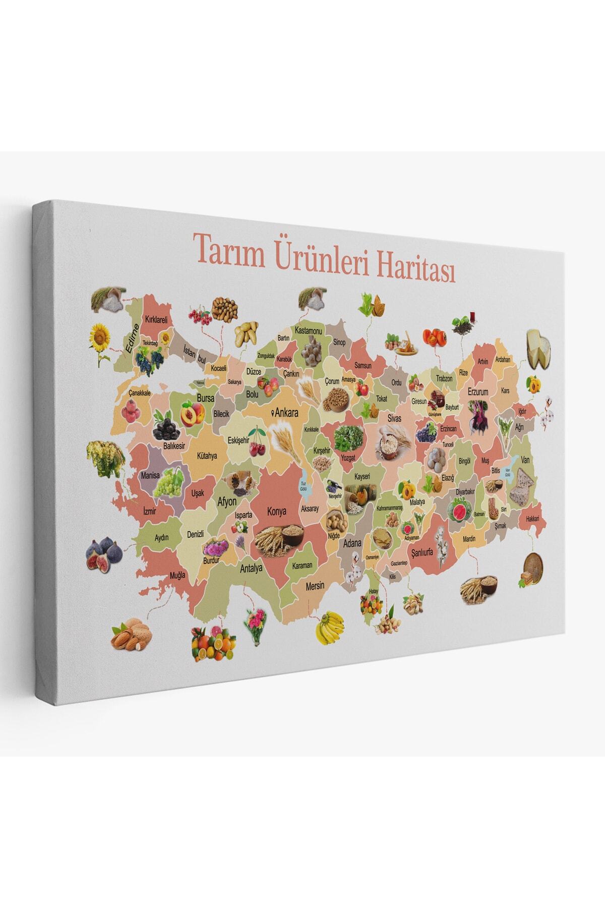 Tarım Ürünleri Yerli Malı Haftası Türkiye Haritası Kanvas Tablo