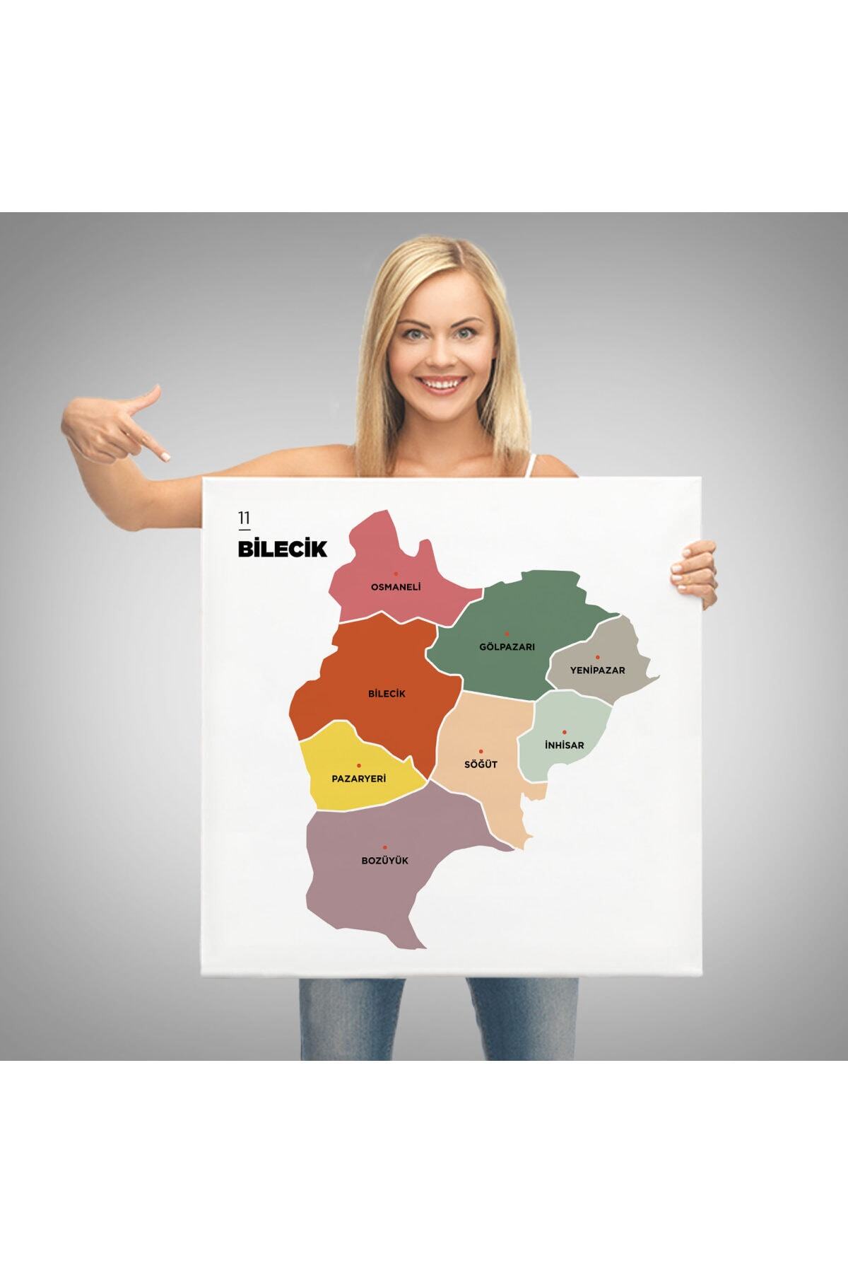 Bilecik Ili Ve Ilçeler Haritası Dekoratif Kanvas Tablo görsel 3