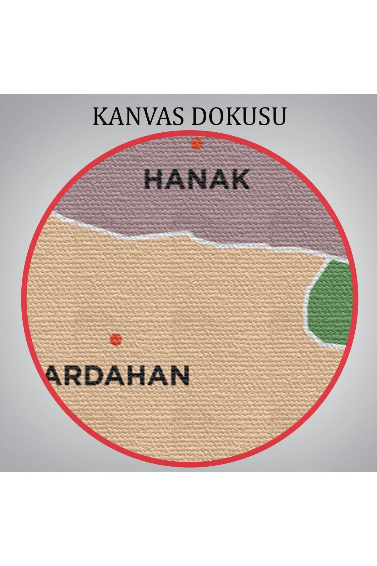 Ardahan Ili Ve Ilçeler Haritası Dekoratif Kanvas Tablo-1 görsel 6
