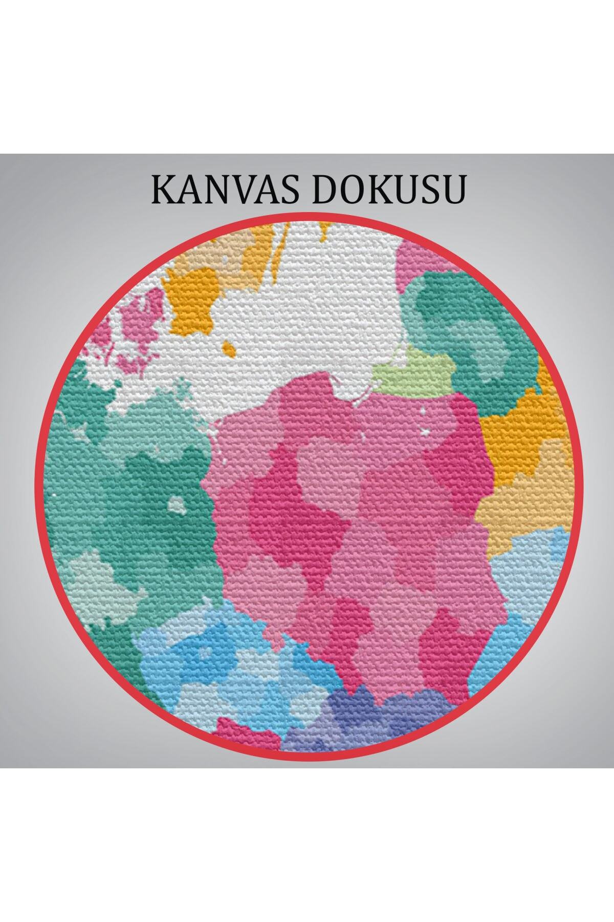 Avrupa Haritası Renkli Dekoratif Kanvas Tablo görsel 5