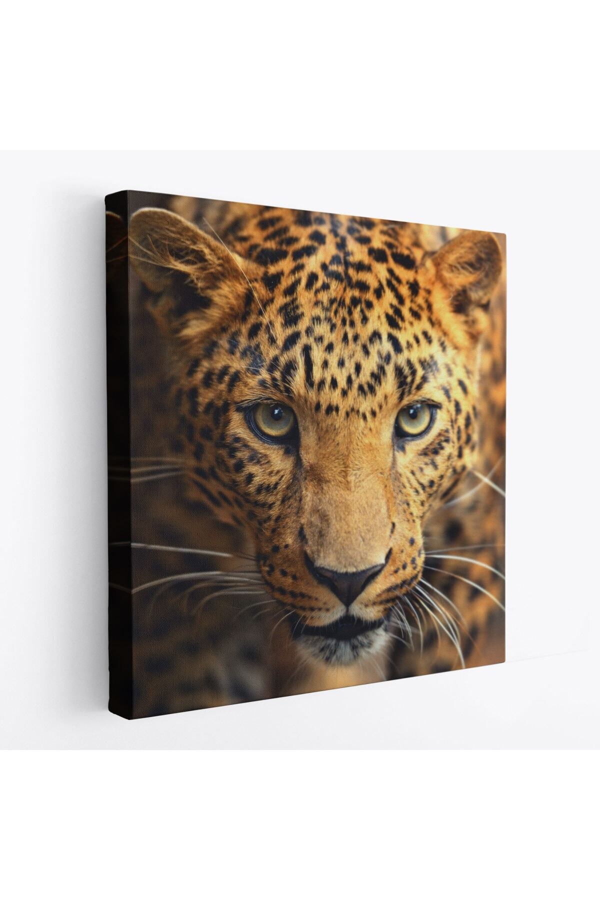 Leopar Dekoratif Kanvas Tablo