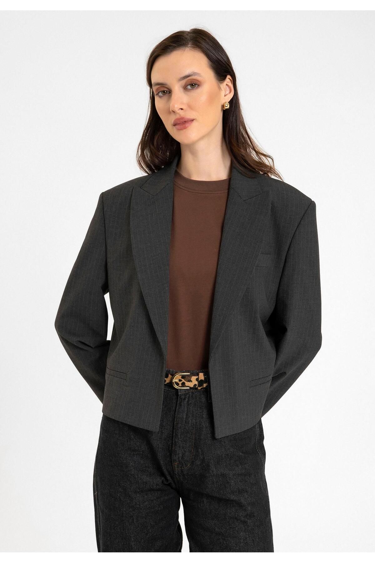 Antioch Antrasit Kadın İnce Çizgili Crop Blazer Ceket