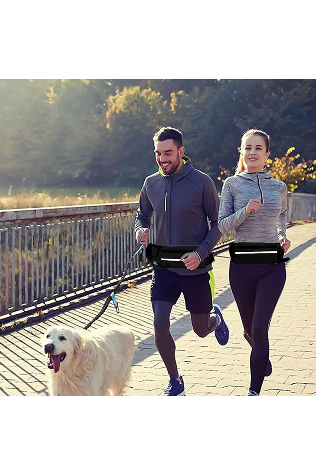 Choice-Hands Free Dog Leash for Running Walking Reflective Leash with Waist Bag Retractable Elastic Belt... 5