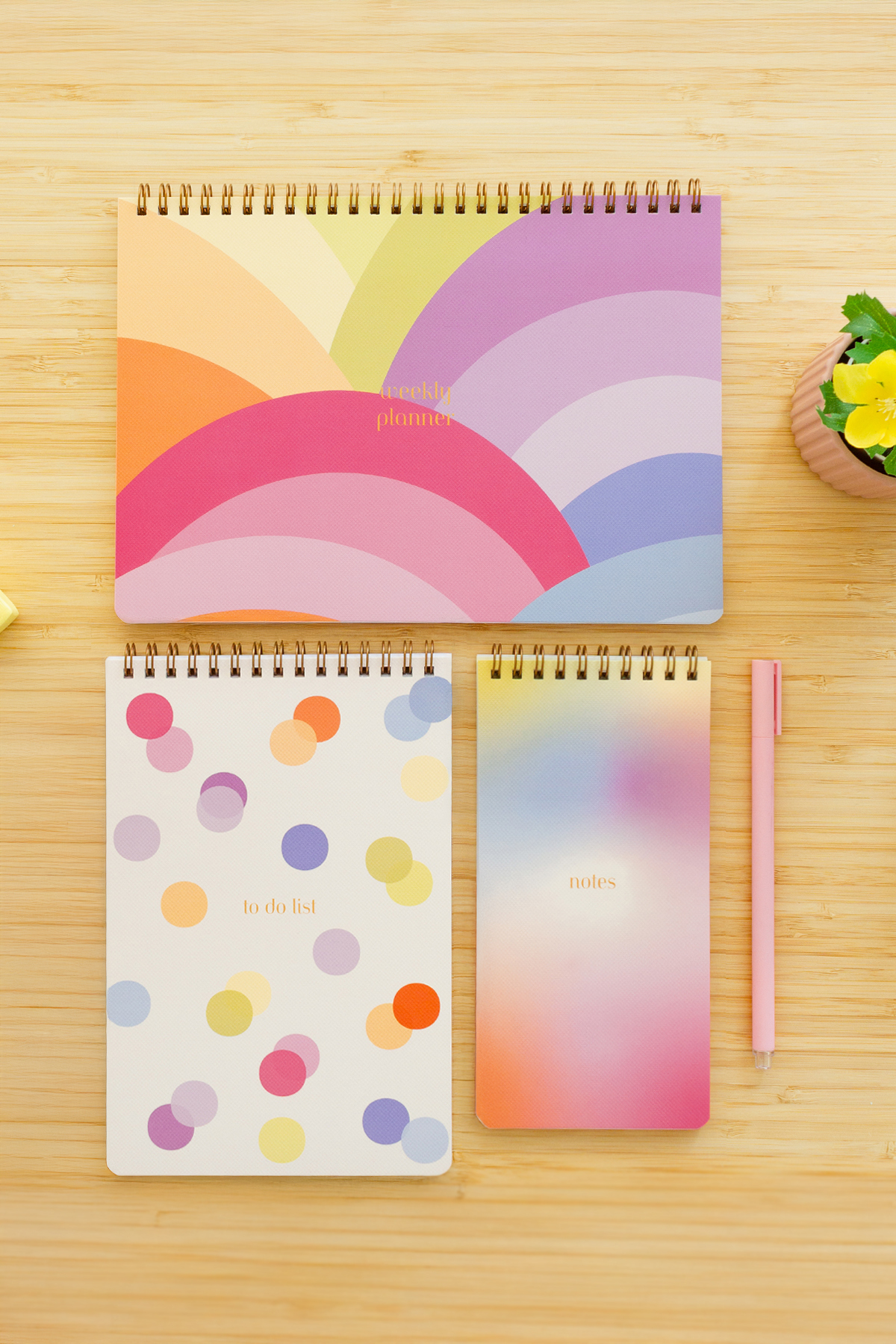 Matt Notebook 3’lü Spiralli Masaüstü Planlayıcı Set Gökkuşağı