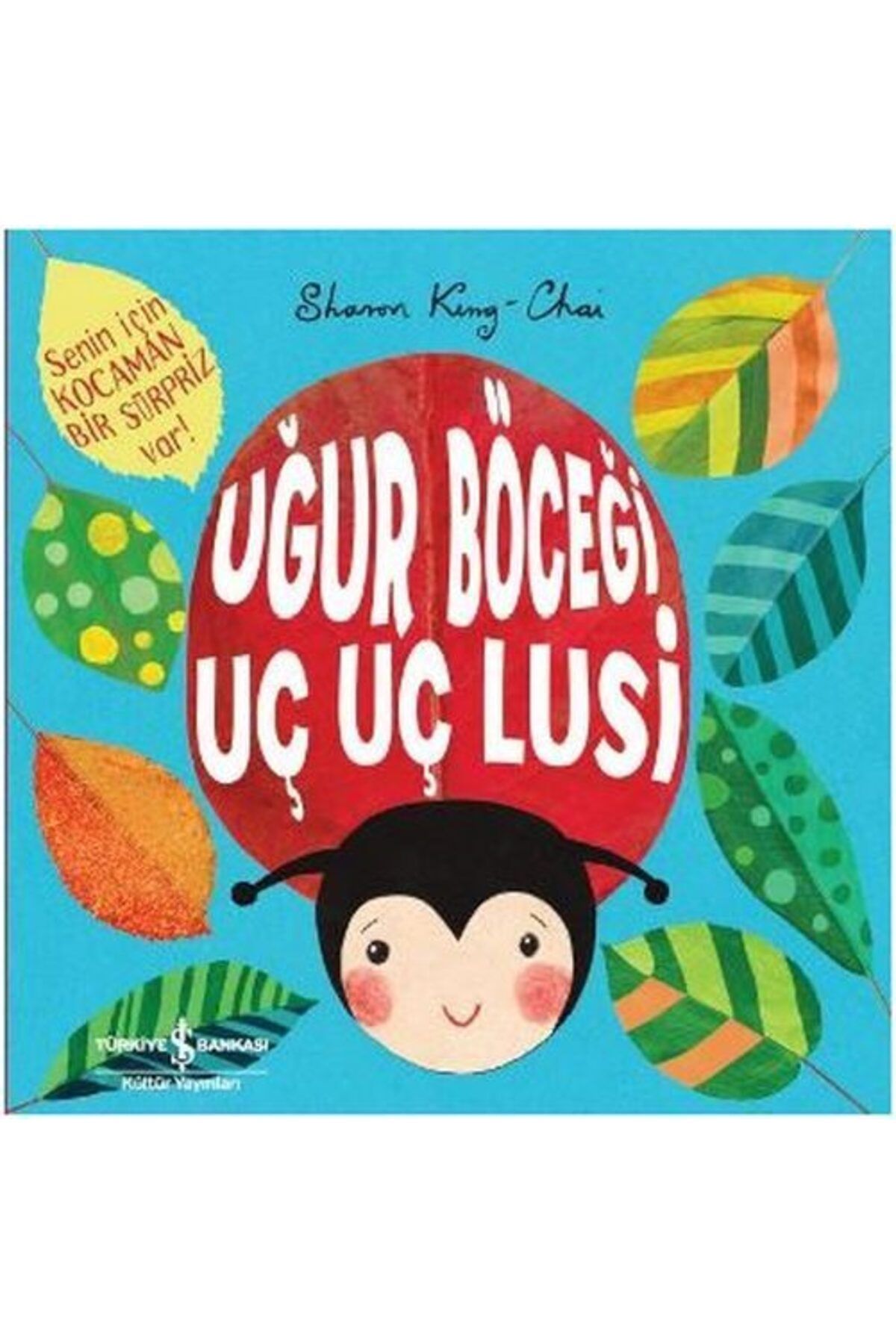 Destek Yayınları Uğur Böceği Uç Uç Lusi