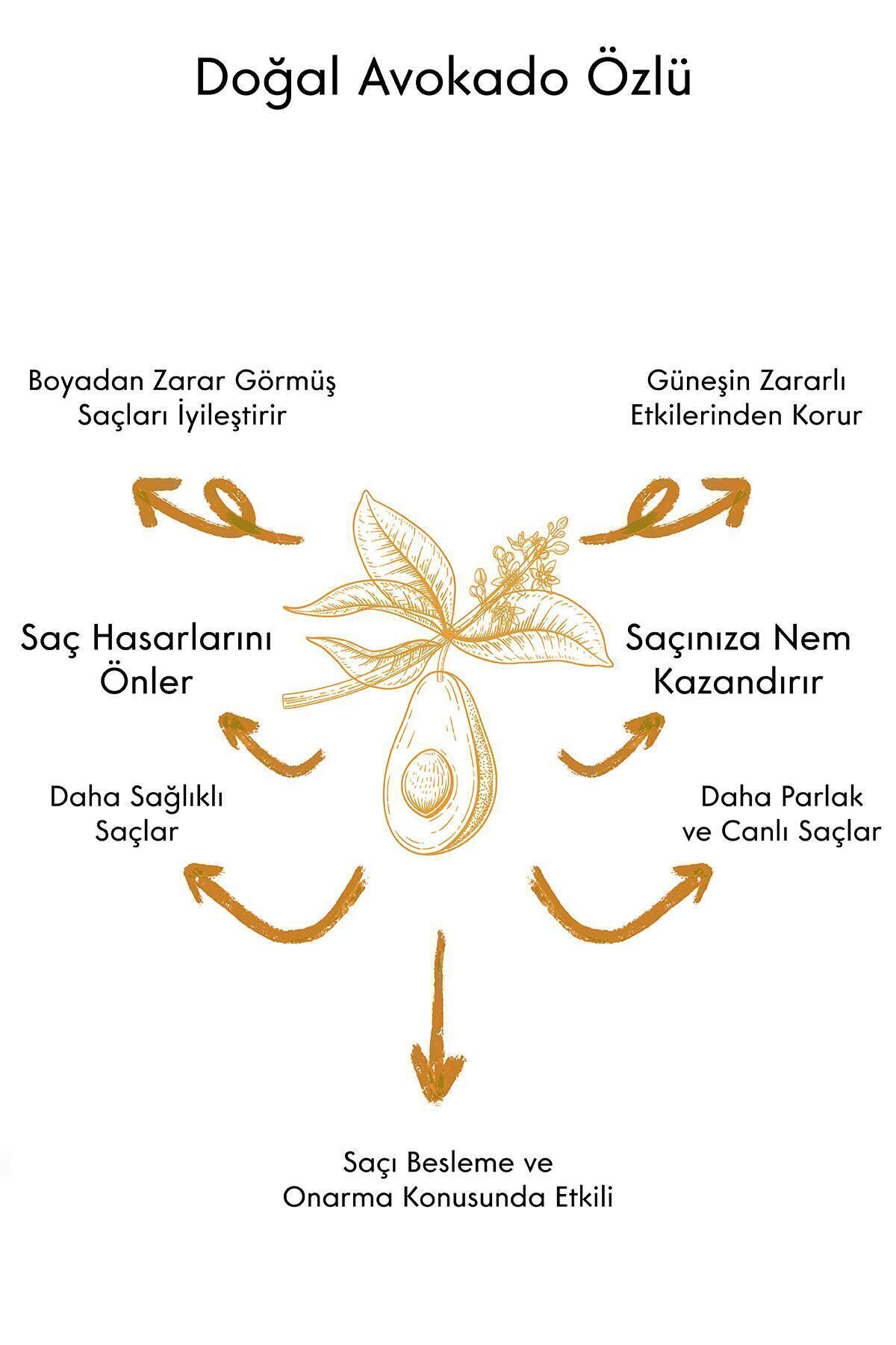 QUR Kırılma Onarıcı Parlaklık Ve Güçlendirici Avokadolu Nemlendirici Yağ Dengeleyen Saç Serumu-2
