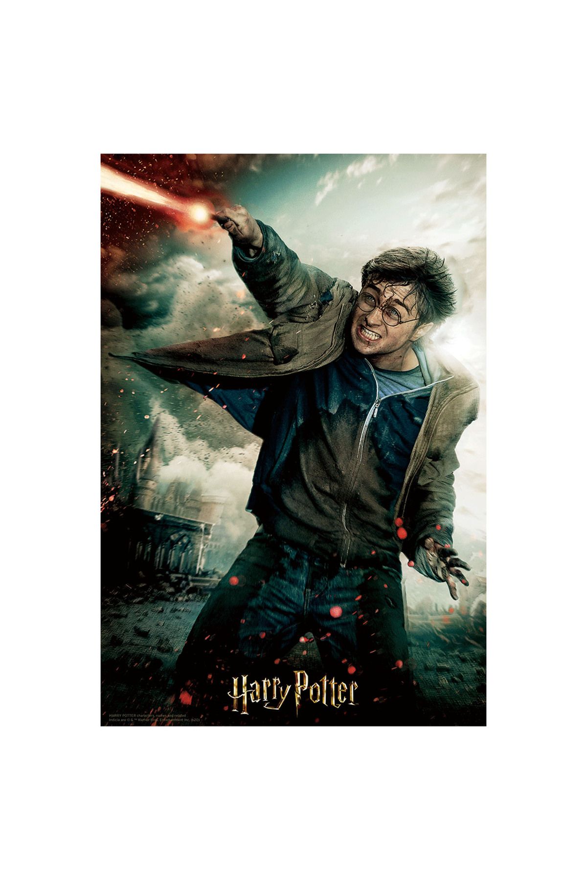 Prime 3D Harry Potter Puzzle 300 Parça 33006
