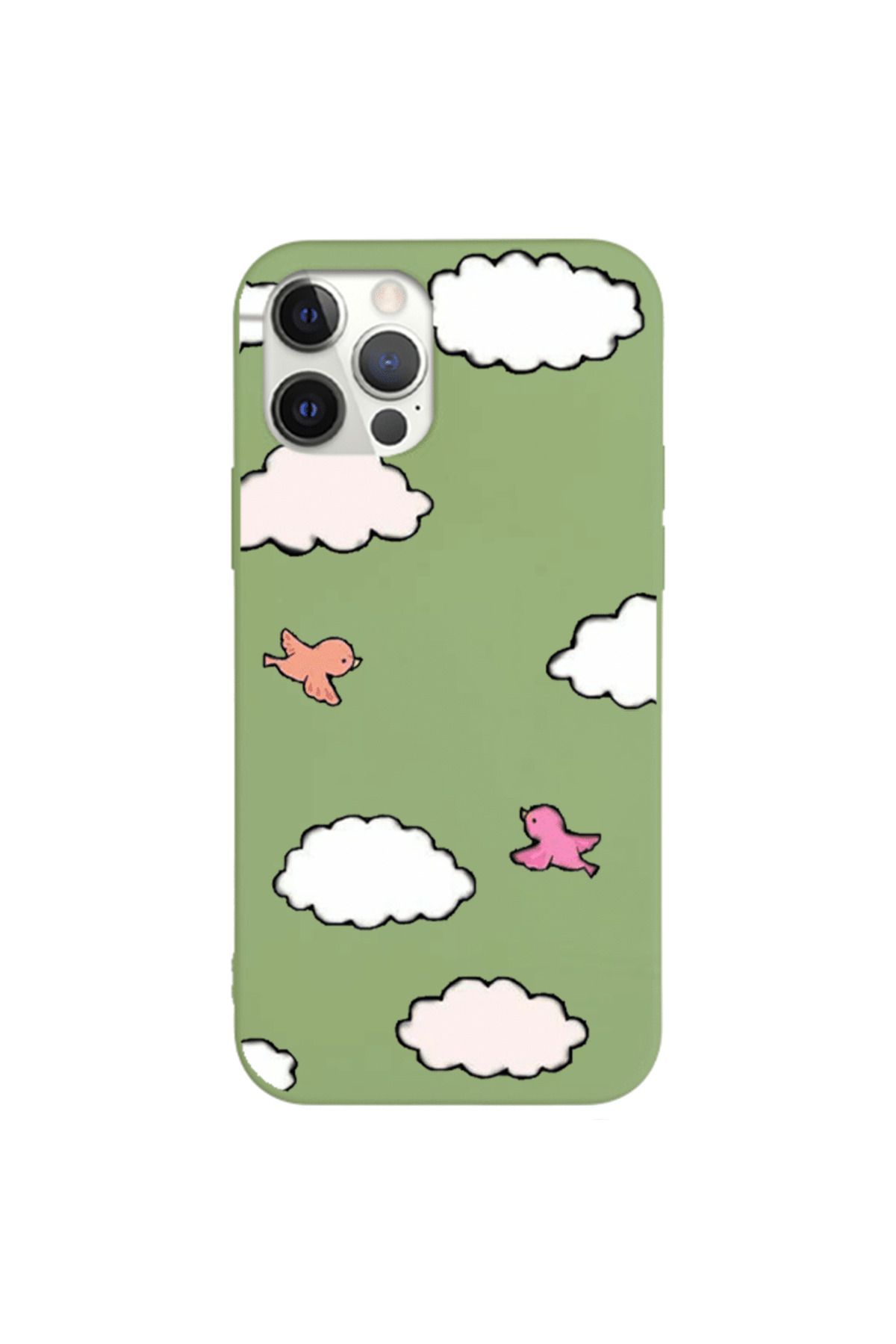 Royaleks iPhone 12 Pro Lansman Kılıf - Kuş