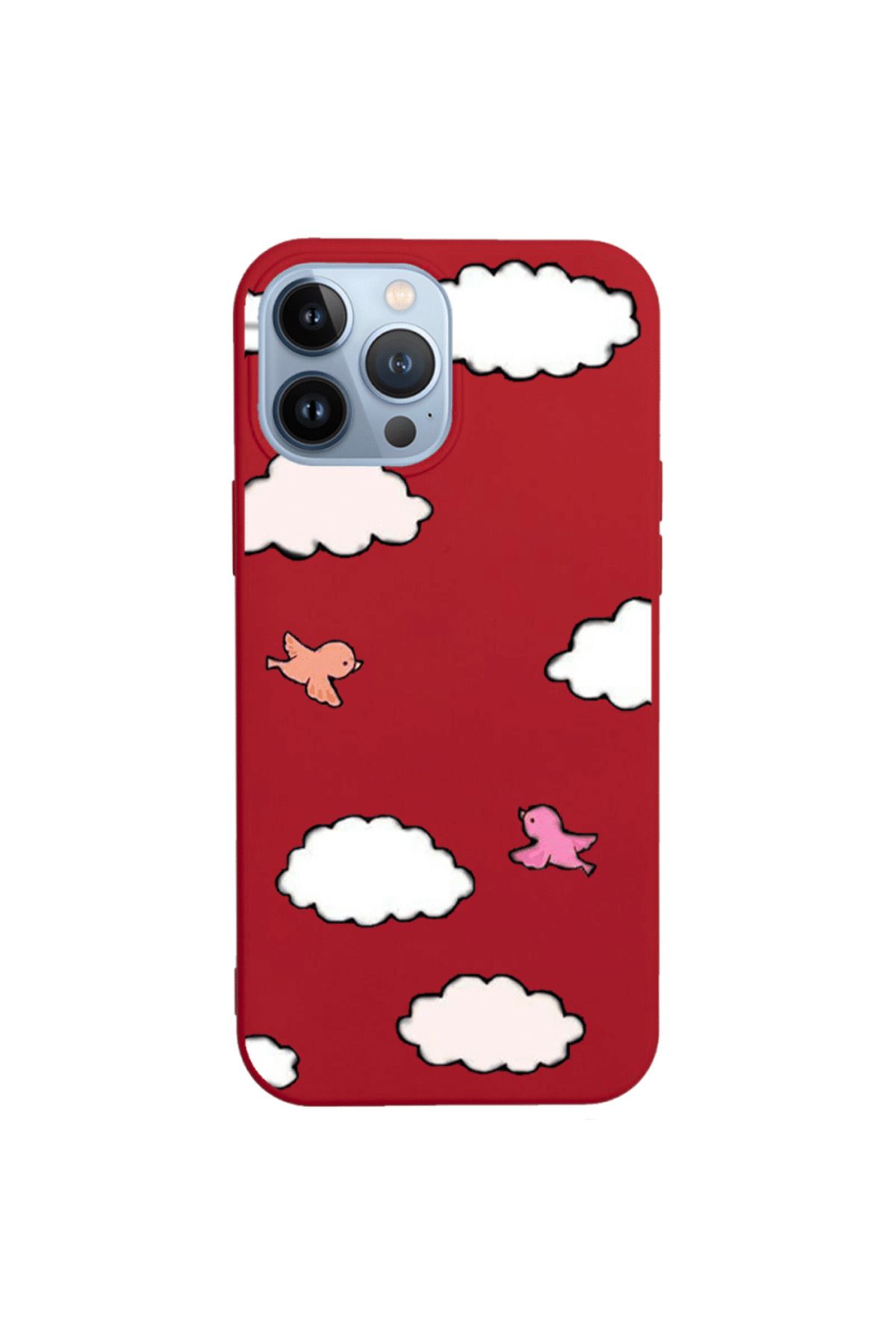 Royaleks iPhone 13 Pro Lansman Kılıf - Kuş