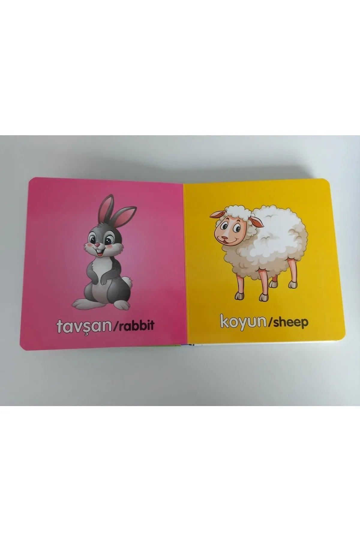 yeti kitap 0-1 Yaş Bebek Kitabı (2 KİTAP) fotoğrafı 3 (önizleme)