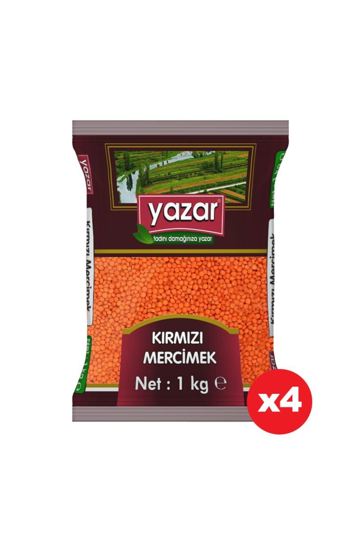 YAZAR Yerli Kırmızı Mercimek 1 Kg. x 4 Adet