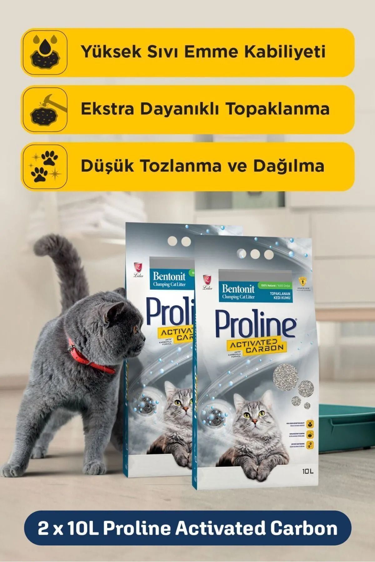 Rüyam Aktif Karbonlu Bentonit Kedi Kumu 2x10 Lt