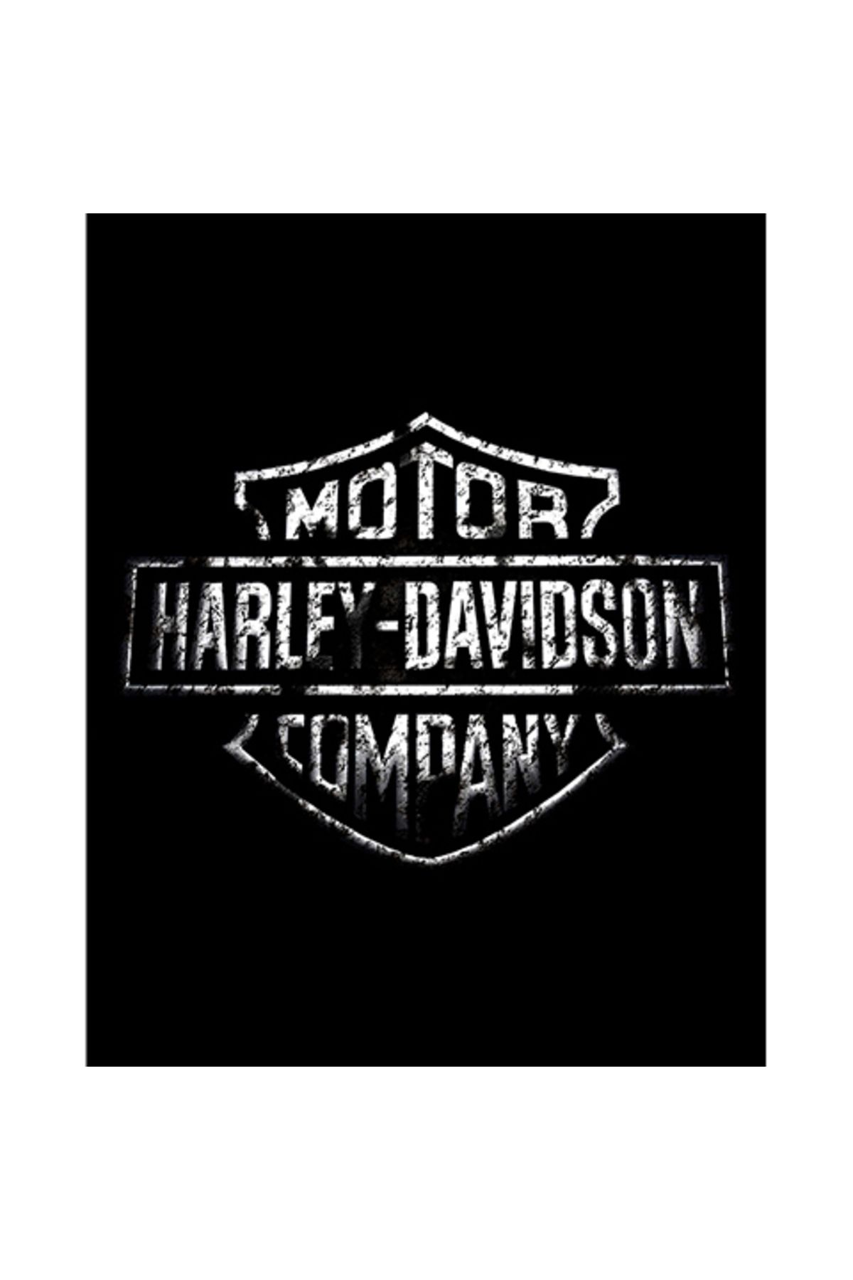 Z zepplin Harley Chopper Damaged Logo Büyük Sırt Patch Yama