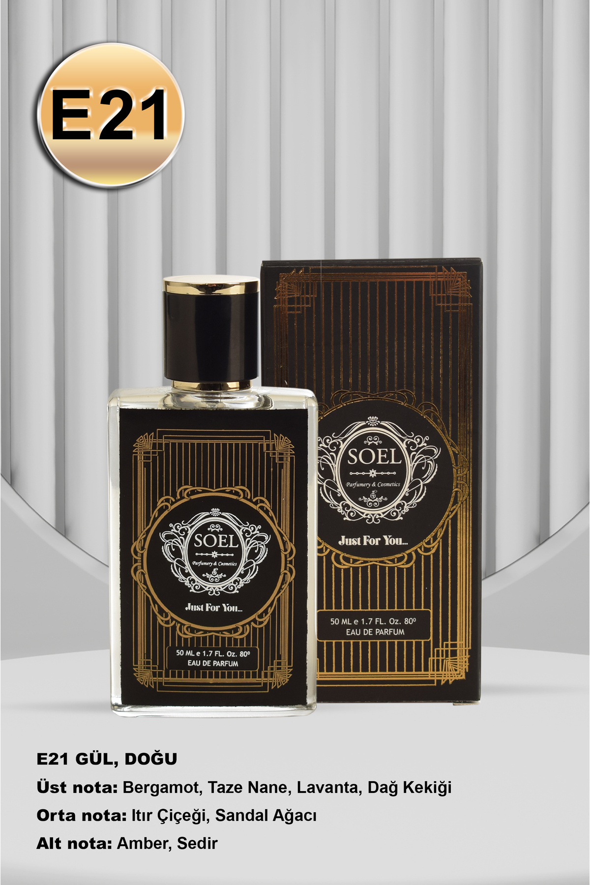 سول پارفوم عطر مردانه Soel E21 50 ml Edp