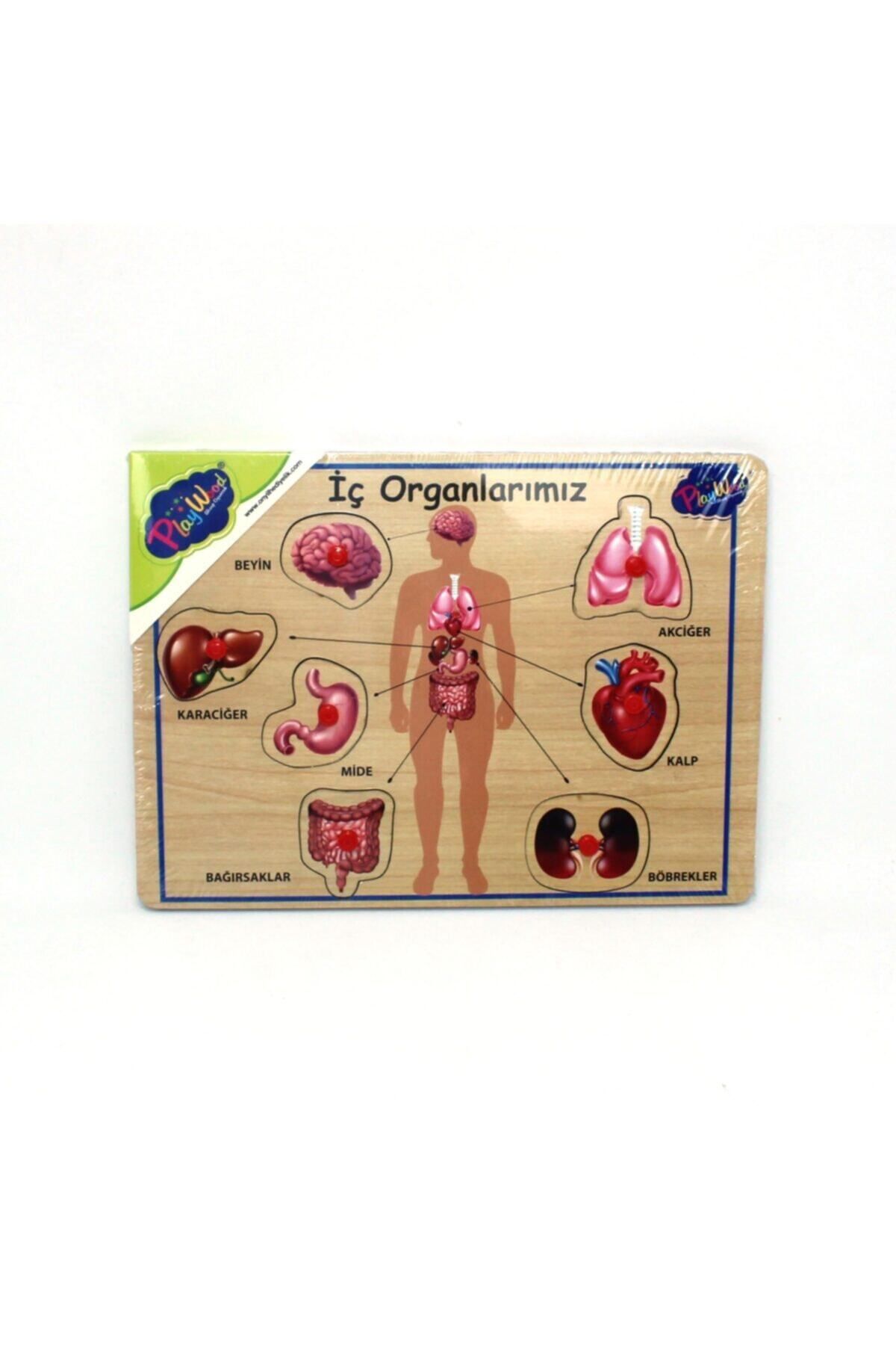 CRONDER Playwood Ahşap Tutmalı Organlar 166/167