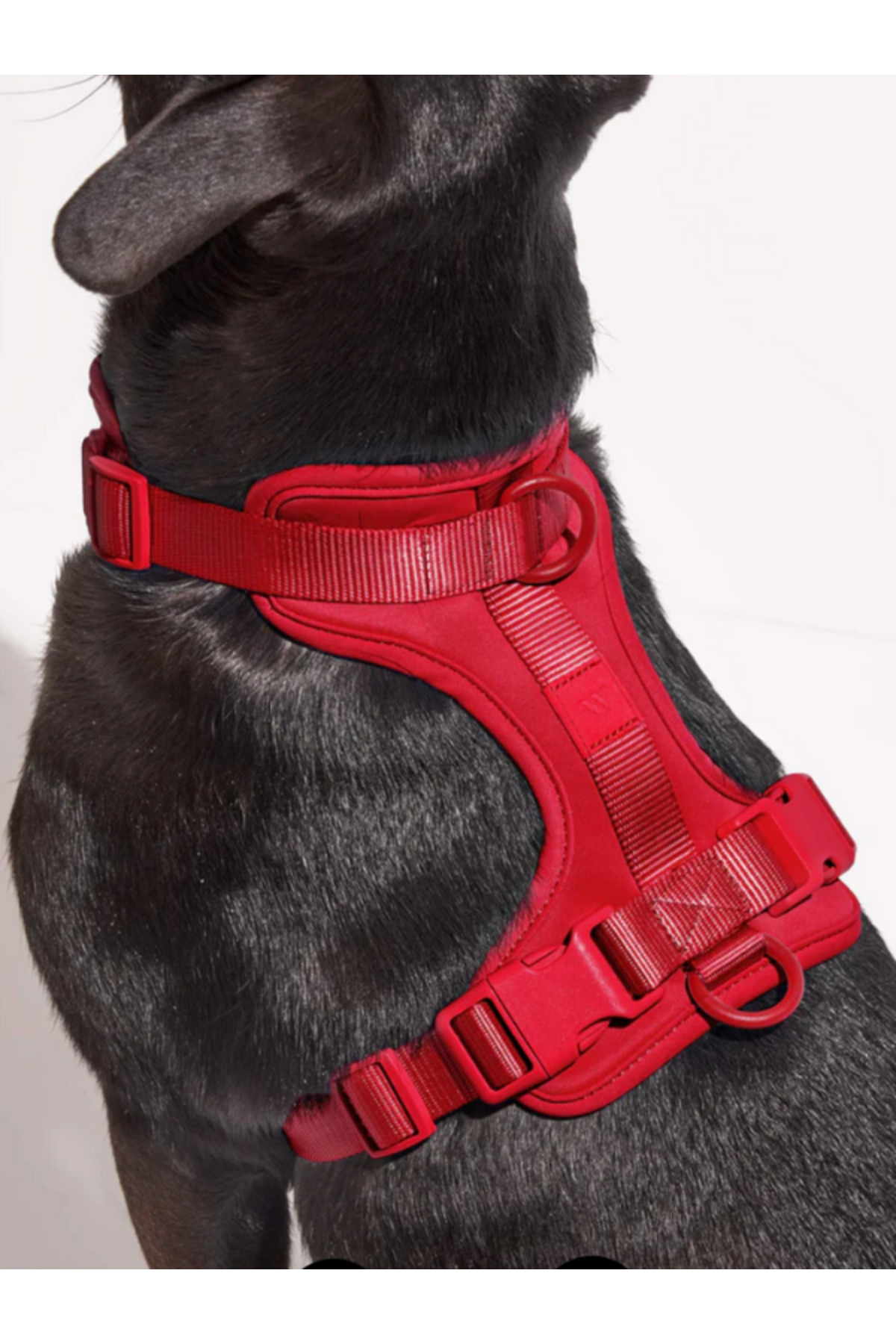 PAKEWAY-Multifunctional 4-Piece Dog Collar Walker Set Waterproof Roll Stool Bag Is Gifted 5