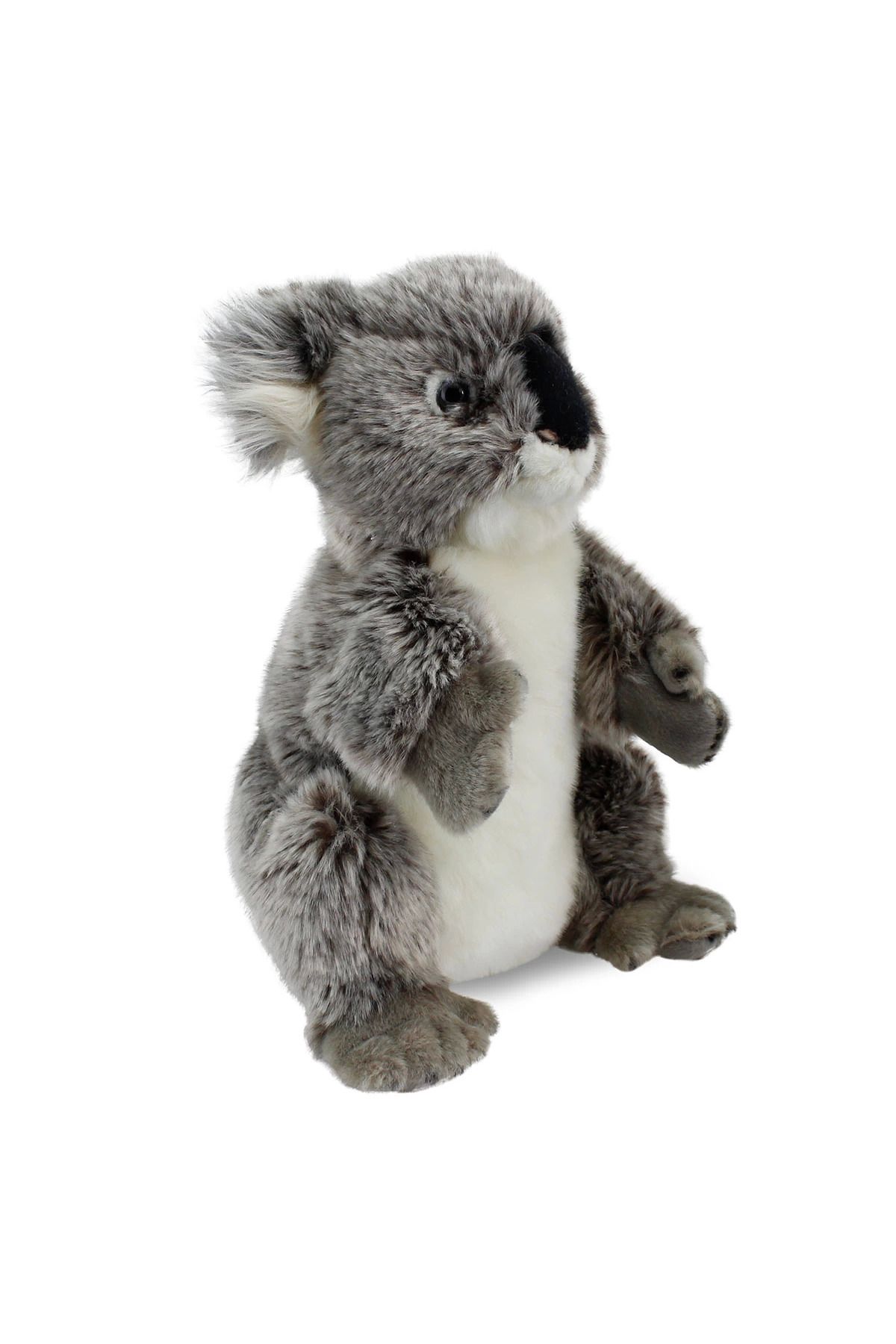 TimeStart Koala Kukla (Tüm Beden) 26 cm