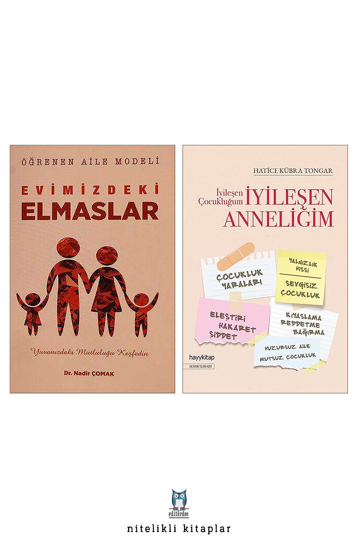 hayykitap Evimizdeki Elmaslar/Nadir Çomak - İyileşen Çocukluğum İyileşen Anneliğim