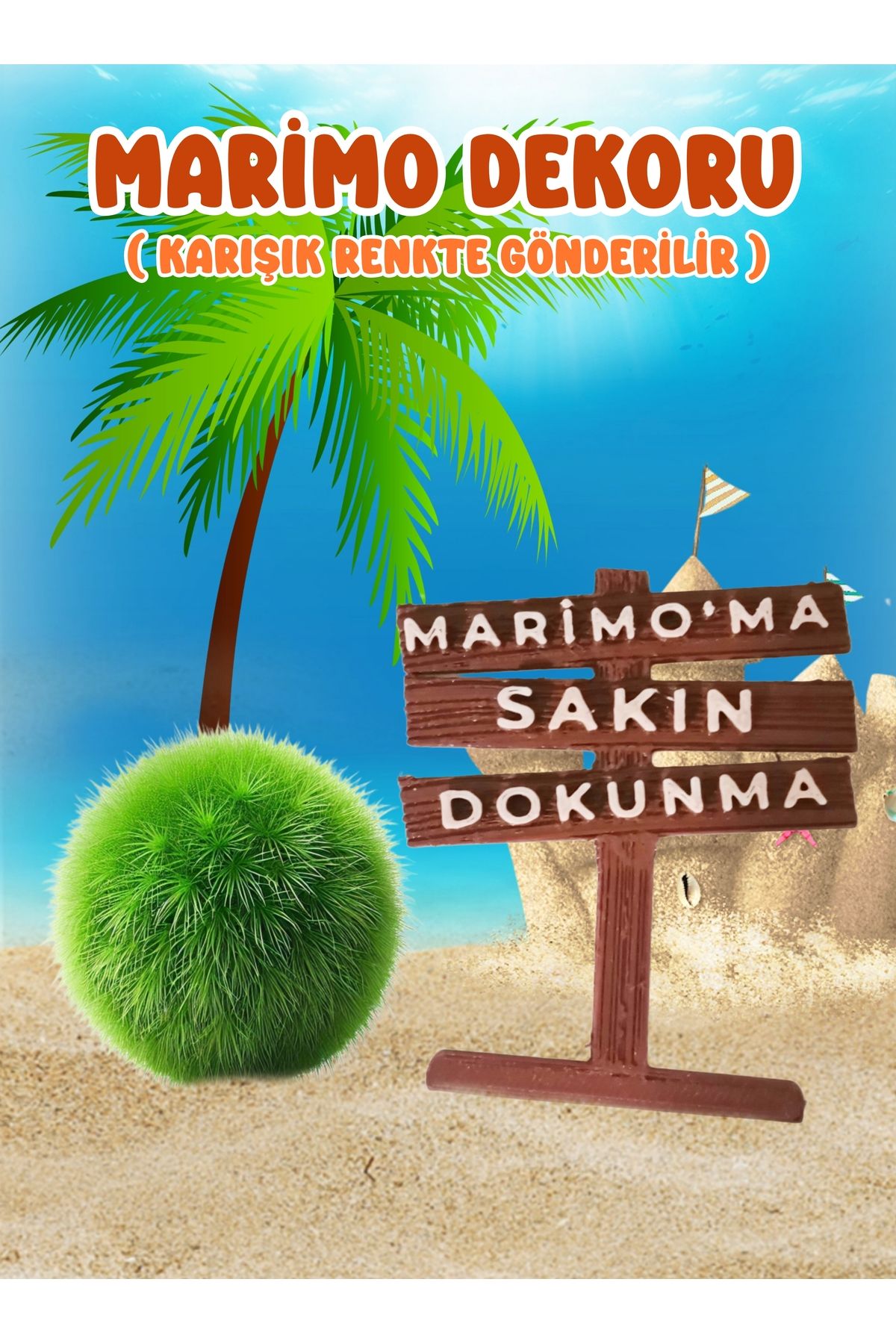 MDİZMİR Marimo'ma Dokunma Dekoru • Marimo Şans Yosunu • Yosun Topu • Marimo Moss