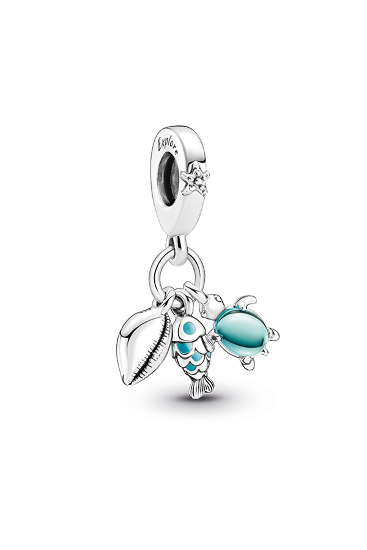 چارم آبی ماهی ، لاک پشت دریایی و پوسته جذابیت سه گانه Pandora