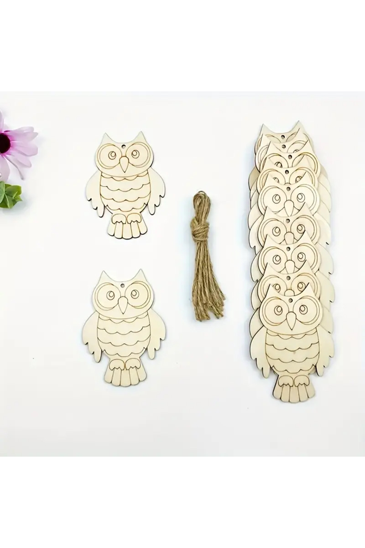 10 Adet Baykuş Desenli Ahşap Boyama Seti + 6 lı Boya + 2 Adet Fırça Set 4