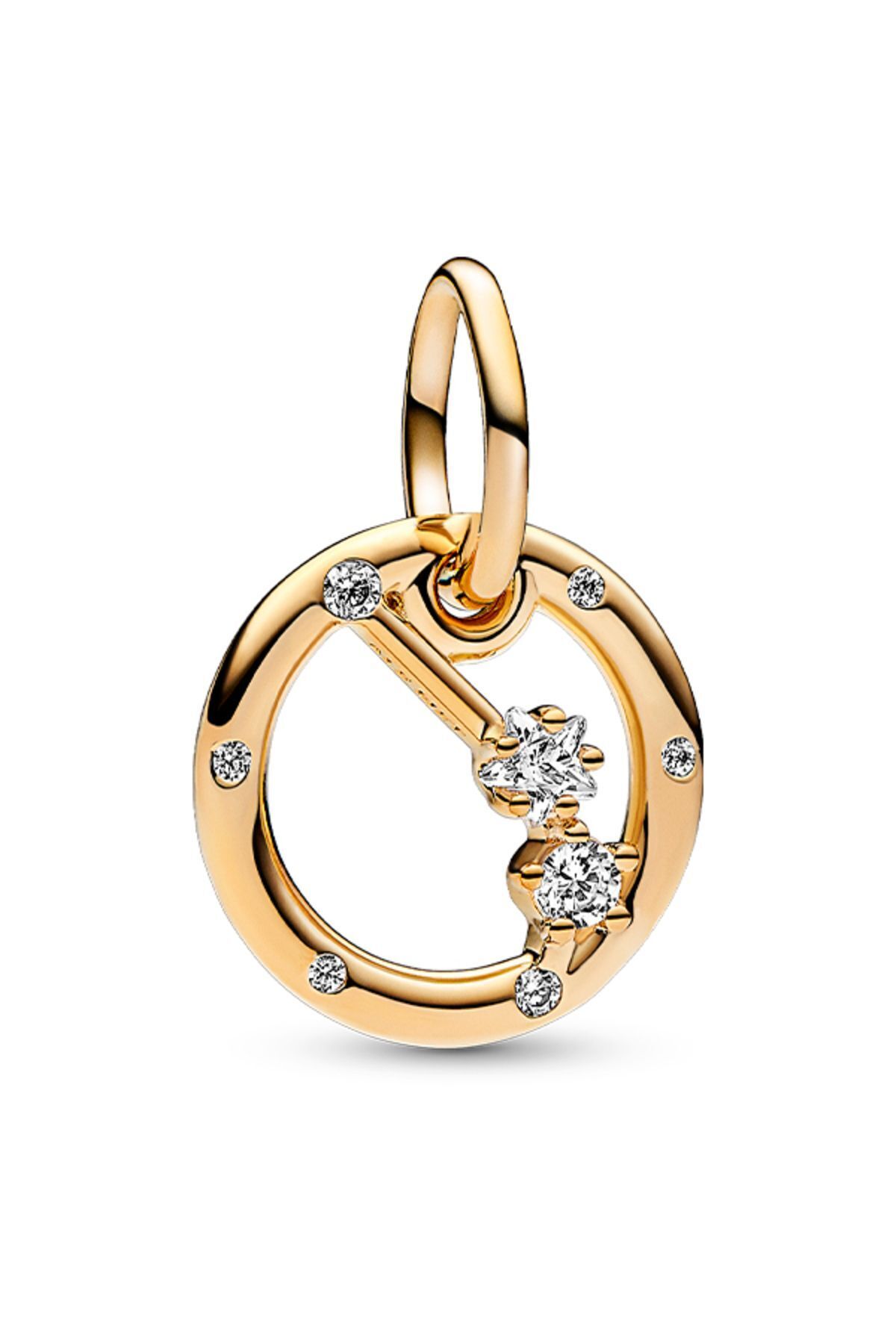 Aries Swinging Charm