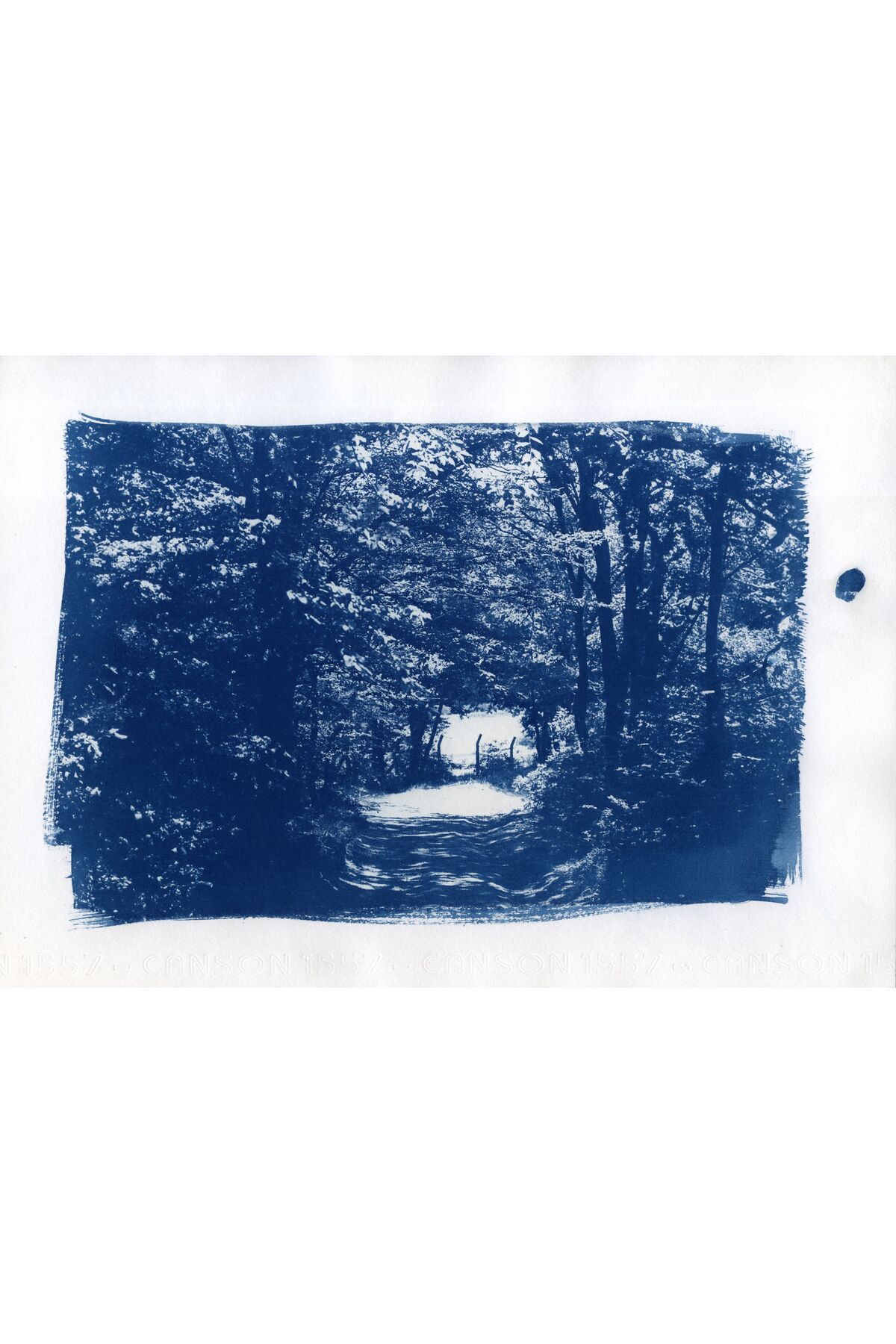 artoloji Hasan Hüseyin Çinay - Uzun Bir Yoldu - 2023/2024 - Cyanotype Baskı - 30x21 cm