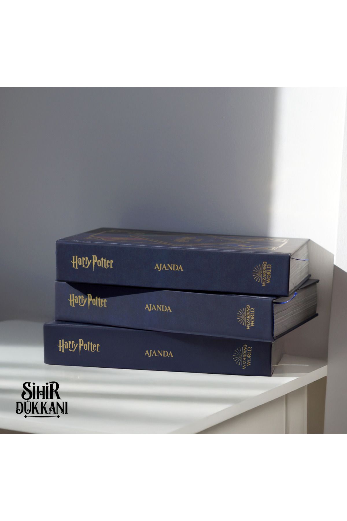 Harry Potter Ajanda 2025