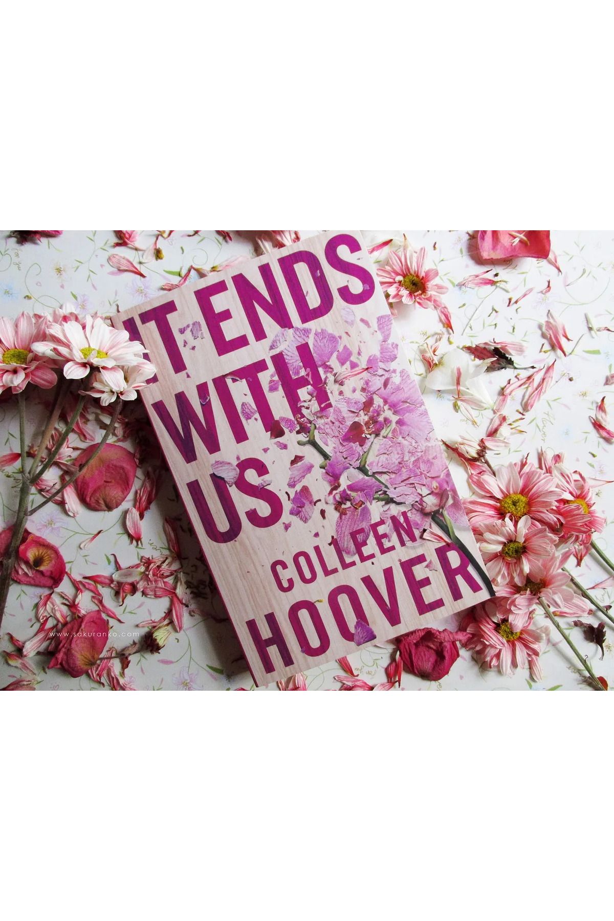 Harper Collins-It Ends With Us - Colleen Hoover 5