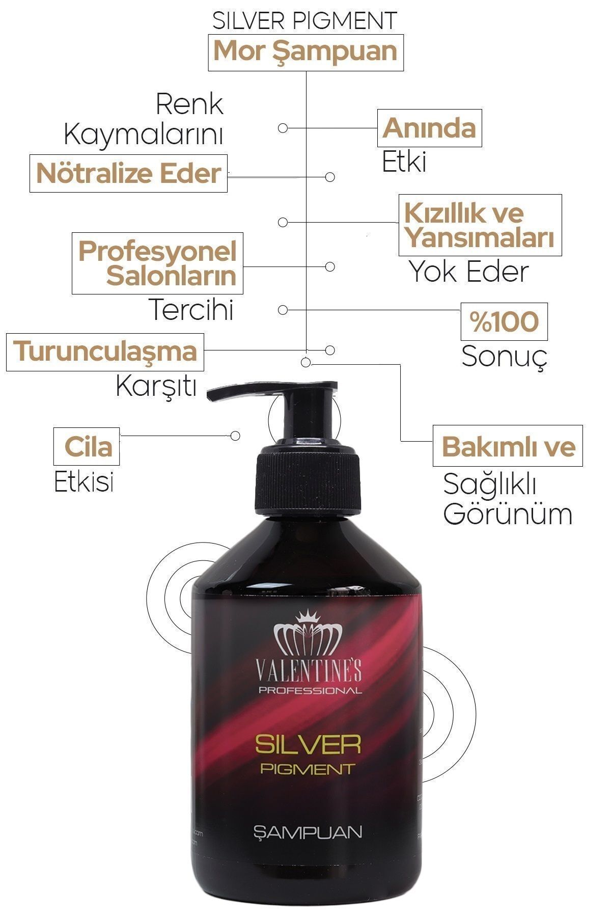 VALENTINES PROFESSIONAL Premium Silver Pigment Mor Şampuan / Her Yıkamada Kuaförden Yeni Çıkmış Gibi-1