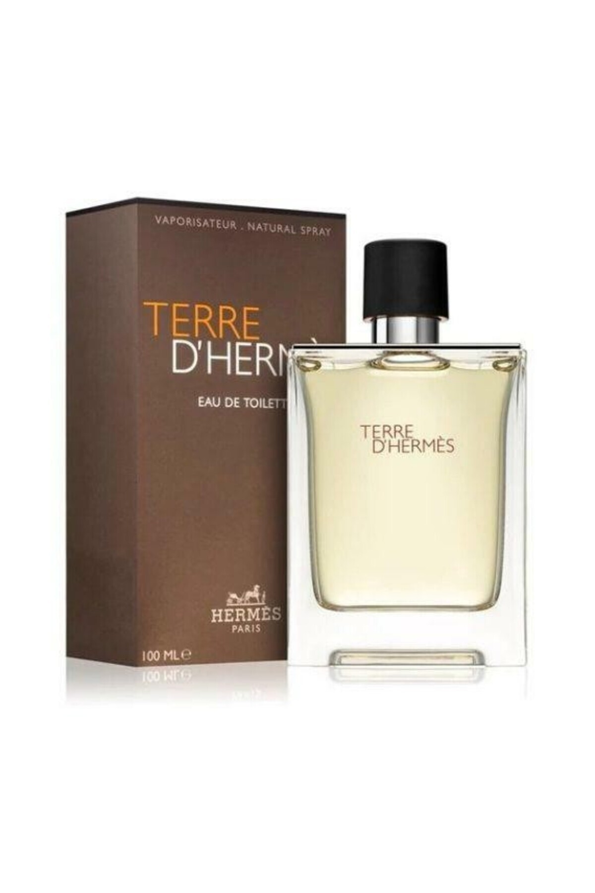 Hermes-Hermes Terre d'Hermes Eau de Toilette 100ml 3