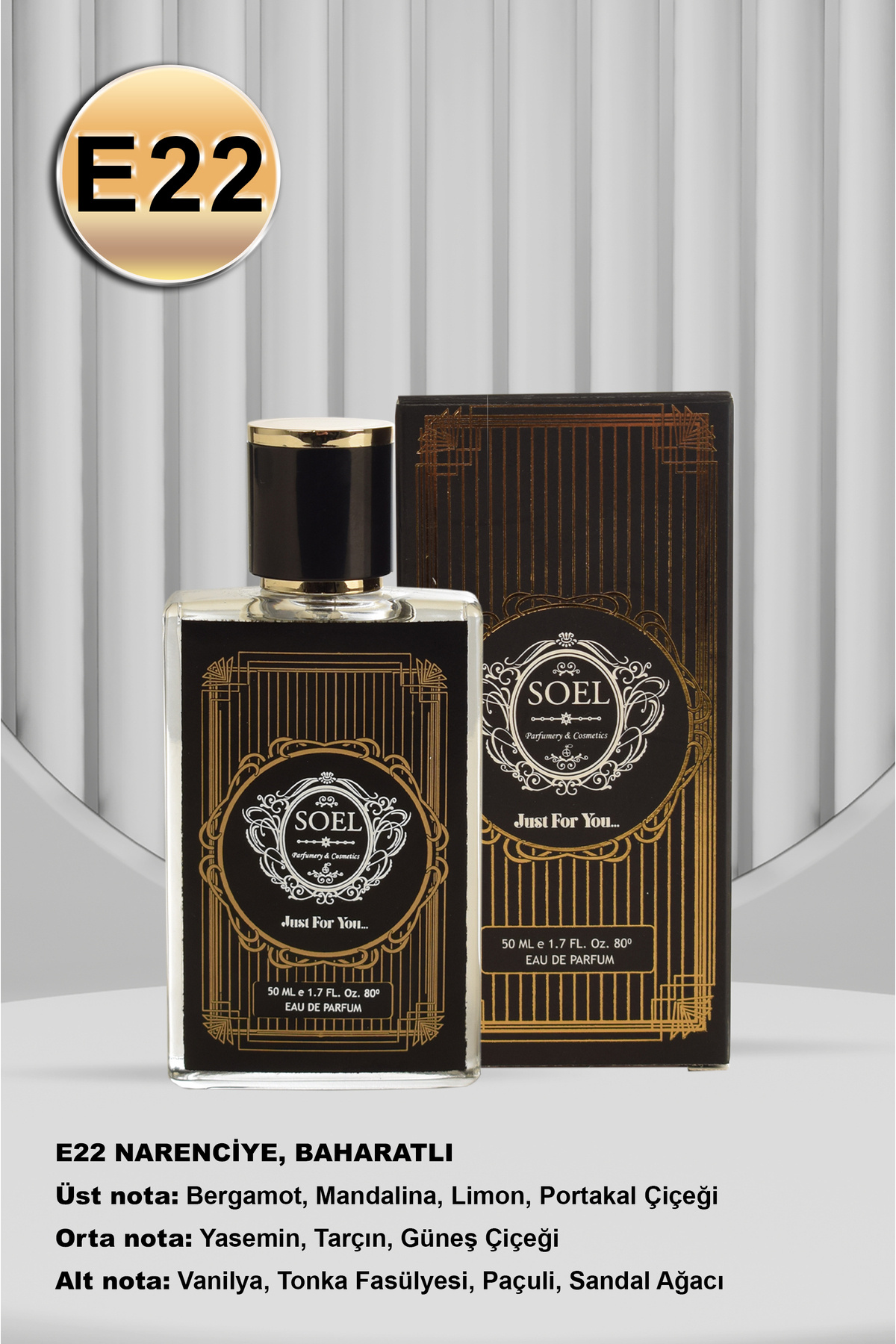 سول پارفوم عطر مردانه Soel E22 50 ml Edp