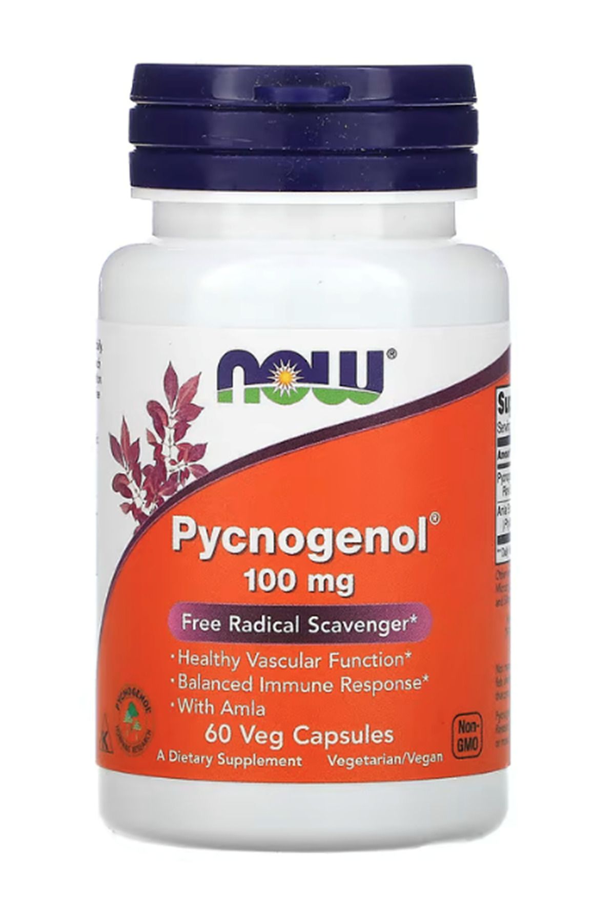 Now Foods , Pycnogenol, 100 Mg, 60 Veg Capsules.