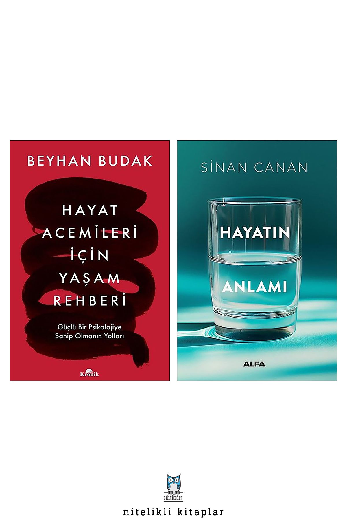 Alfa Yayınları Hayat Acemileri İçin Yaşam Rehberi - Hayatın Anlamı/Sinan Canan